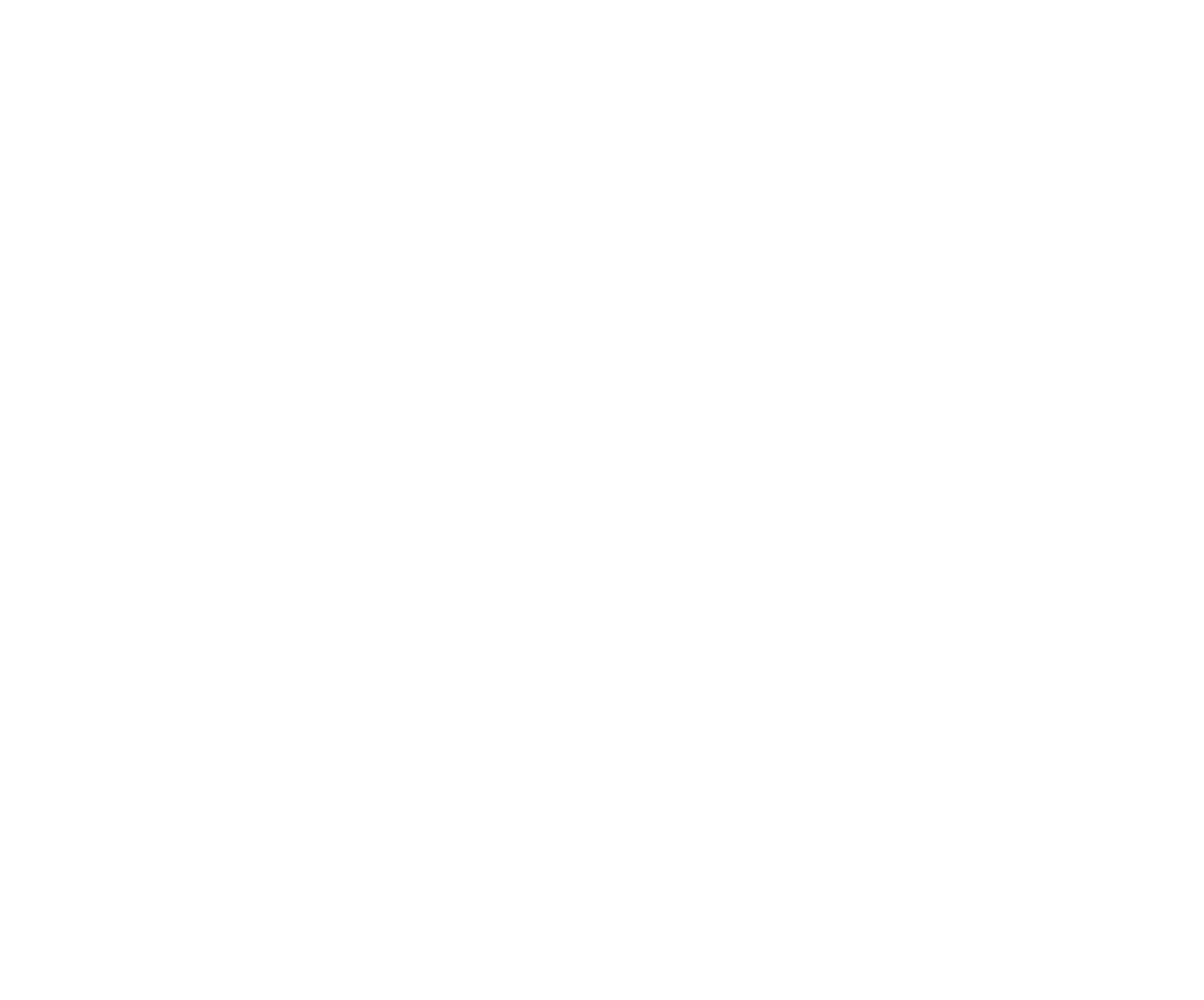 Momentum